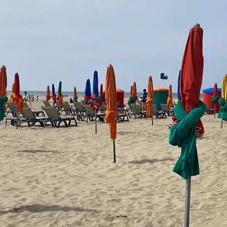 41 M With Balcony Near The 아파트 *