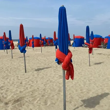 아파트 41 M With Balcony Near The *