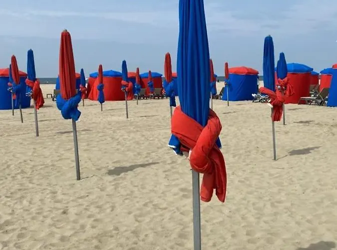 Appartement 41 M With Balcony Near The *